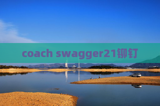coach swagger21铆钉